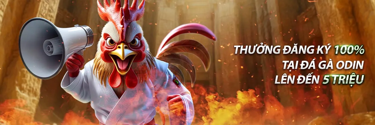 Hình ảnh chính về lựa chọn nền tảng cá cược tốt nhất tại Loto188