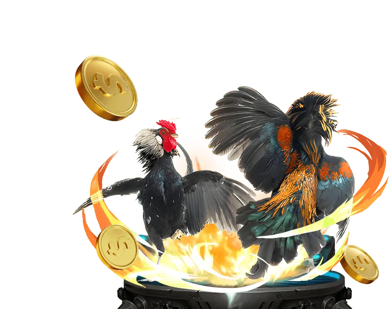 Chính Sách Hoàn Trả Hấp Dẫn